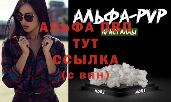стафф Белокуриха