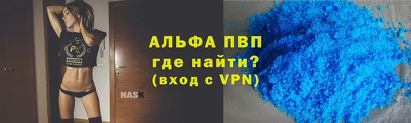 сатива Беломорск