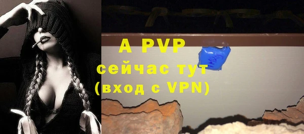 стафф Белокуриха