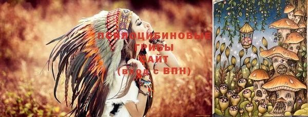 сатива Беломорск
