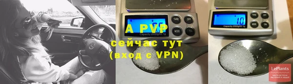 стафф Белокуриха