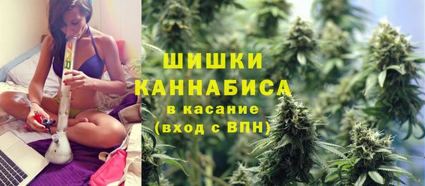сатива Беломорск