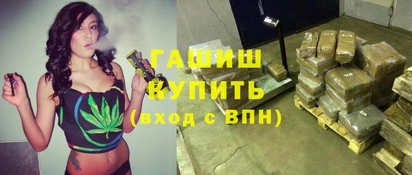 сатива Беломорск