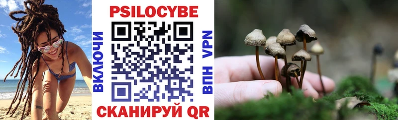 Псилоцибиновые грибы ЛСД Белово